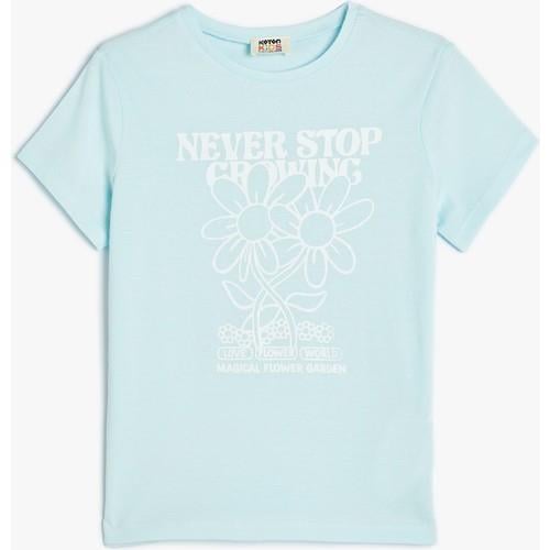 tshirt-ss--6f32f.jpg