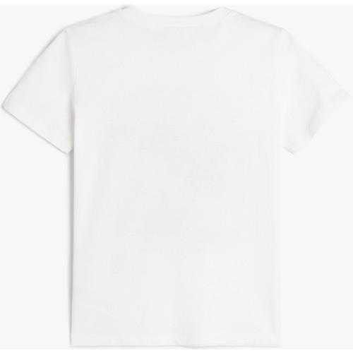 tshirt-ss--90612.jpg