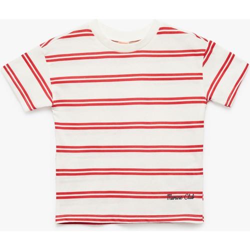 tshirt-ss-0d18e-.jpg