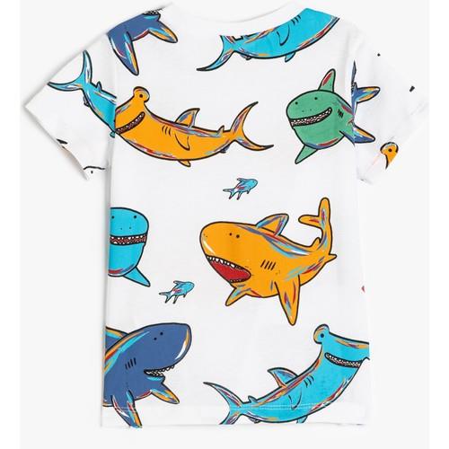 tshirt-ss-1-4147.jpg
