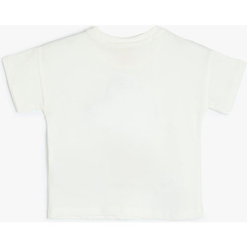 tshirt-ss-118601.jpg