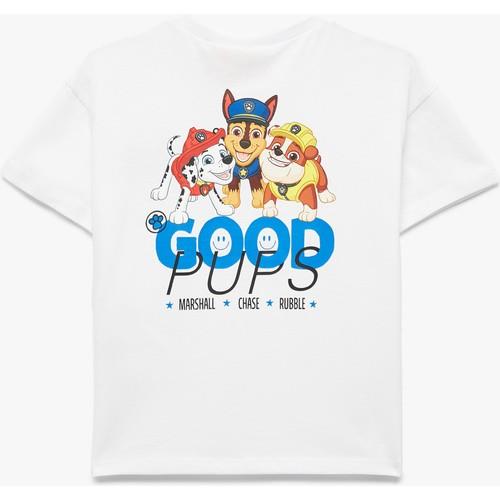 tshirt-ss-1a-a2c.jpg