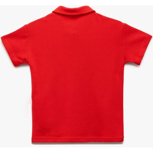 tshirt-ss-1df-87.jpg