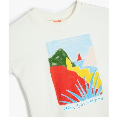 tshirt-ss-2-4be4.jpg