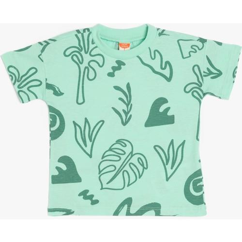 tshirt-ss-239621.jpg