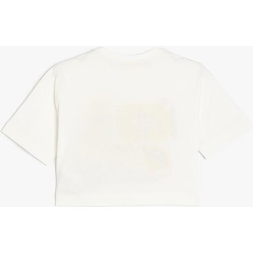 tshirt-ss-2b6e-4.jpg