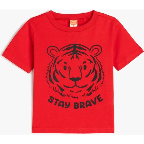 tshirt-ss-2c72f9.jpg