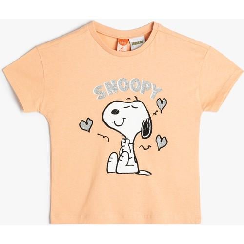 tshirt-ss-2e95b4.jpg