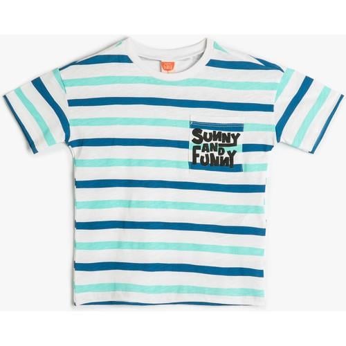 tshirt-ss-322e88.jpg