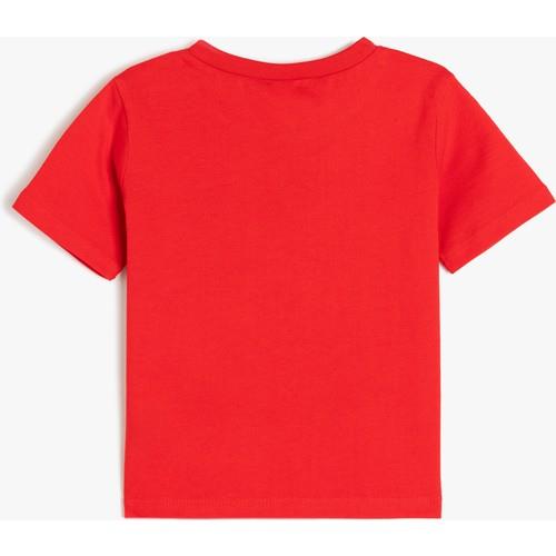 tshirt-ss-34d-8c.jpg