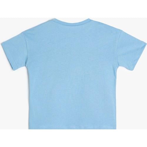 tshirt-ss-35fc76.jpg