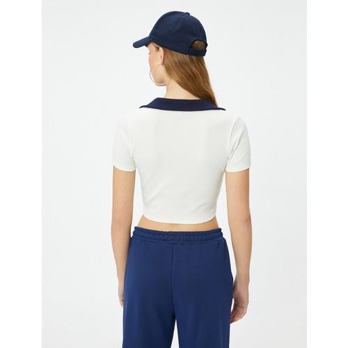 tshirt-ss-396408.jpg