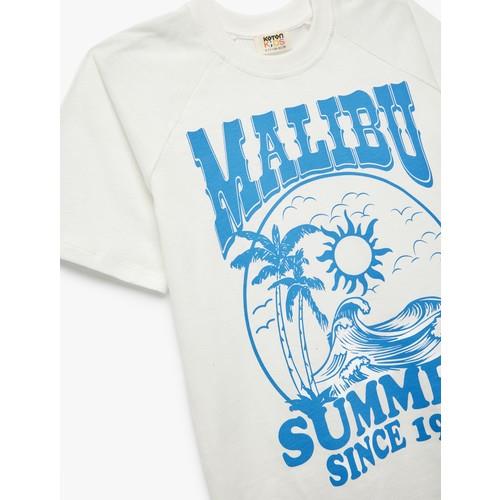 tshirt-ss-3f1c64.jpg