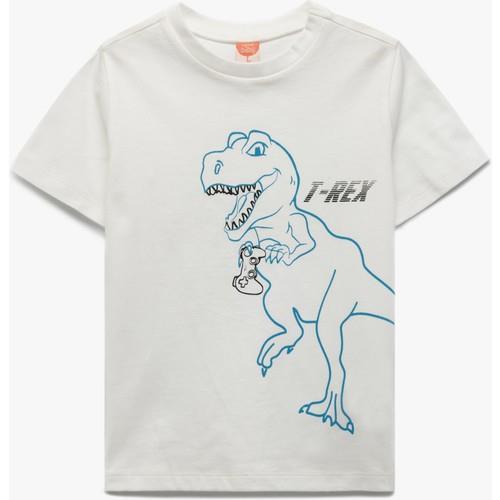 tshirt-ss-4-43c8.jpg