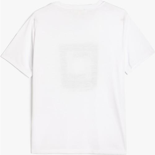 tshirt-ss-448ed9.jpg