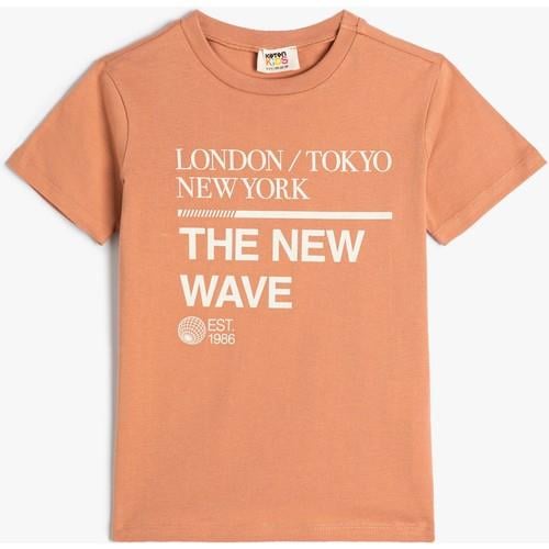 tshirt-ss-44cc4d.jpg