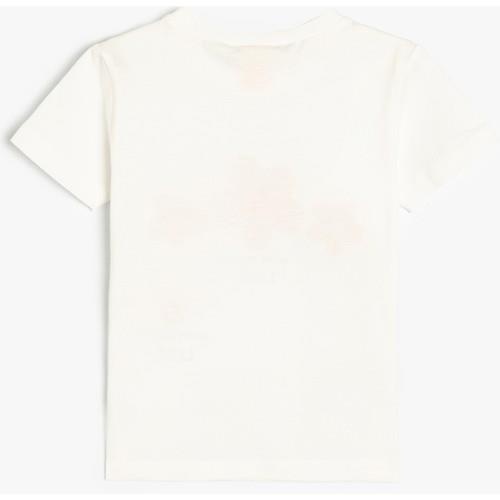 tshirt-ss-454540.jpg