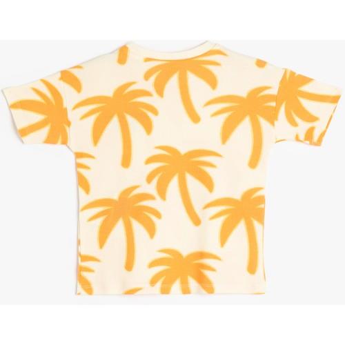 tshirt-ss-467320.jpg