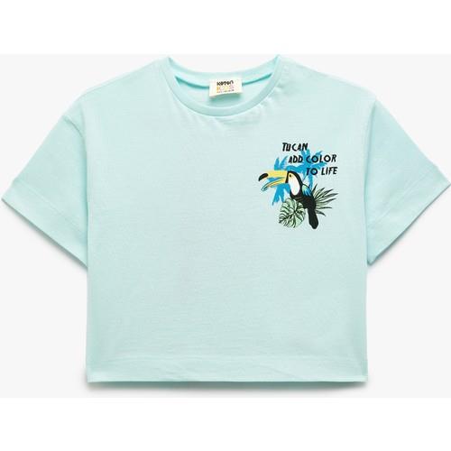 tshirt-ss-4698-a.jpg