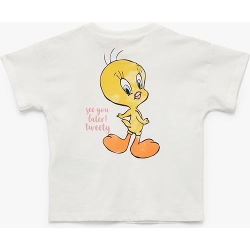 tshirt-ss-4ac83d.jpg