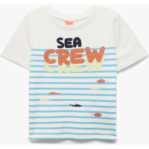 tshirt-ss-4dc-41.jpg