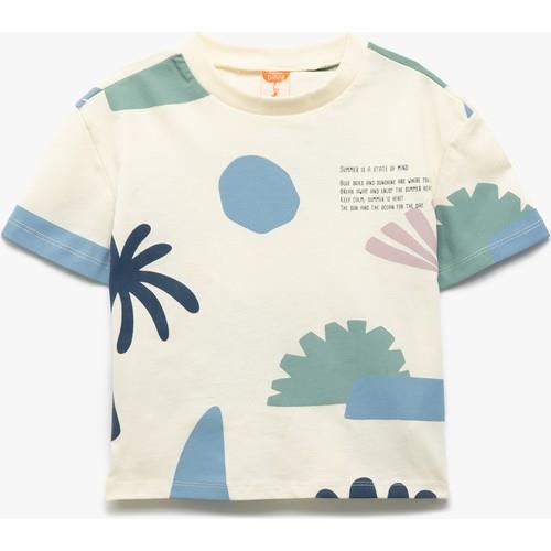 tshirt-ss-4e2e76.jpg