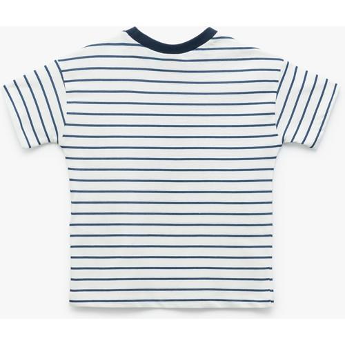 tshirt-ss-581-bd.jpg