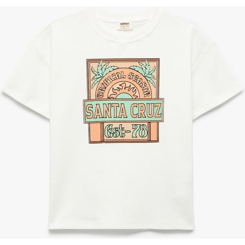 tshirt-ss-61c-b6.jpg
