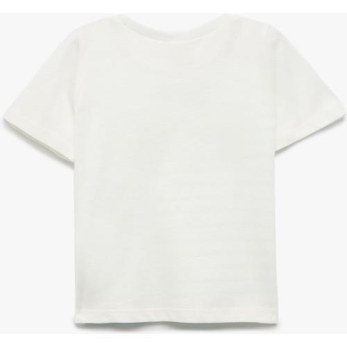 tshirt-ss-636796.jpg