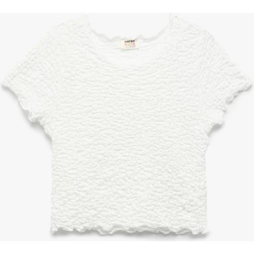 tshirt-ss-686931.jpg