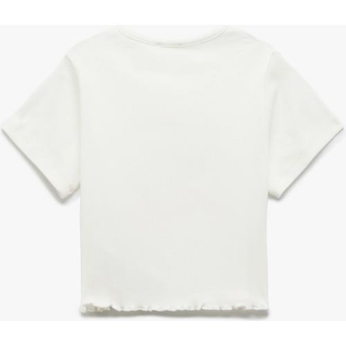 tshirt-ss-6b402b.jpg