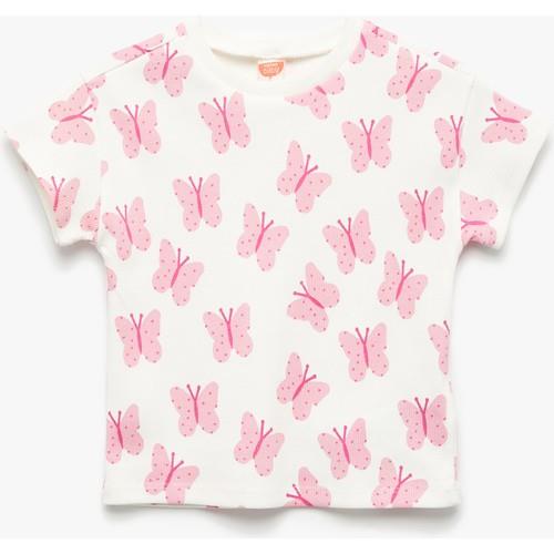 tshirt-ss-6de79f.jpg