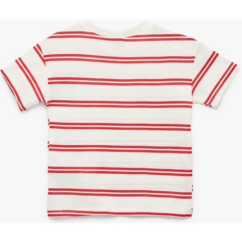 tshirt-ss-6f1-52.jpg