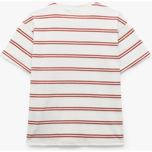 tshirt-ss-75f-b4.jpg
