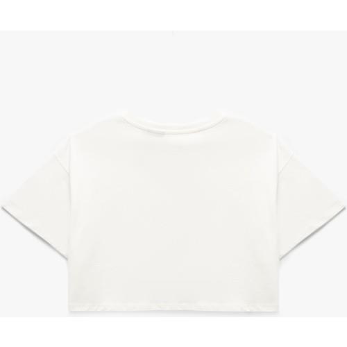 tshirt-ss-778-4c.jpg