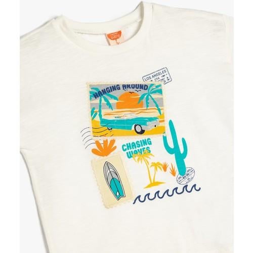 tshirt-ss-79d923.jpg