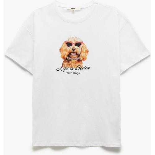 tshirt-ss-7b66-e.jpg