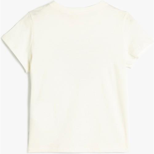 tshirt-ss-7bc99e.jpg