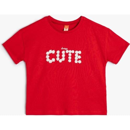 tshirt-ss-7edaf8.jpg