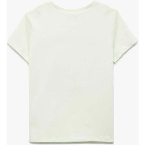 tshirt-ss-7fb37a.jpg