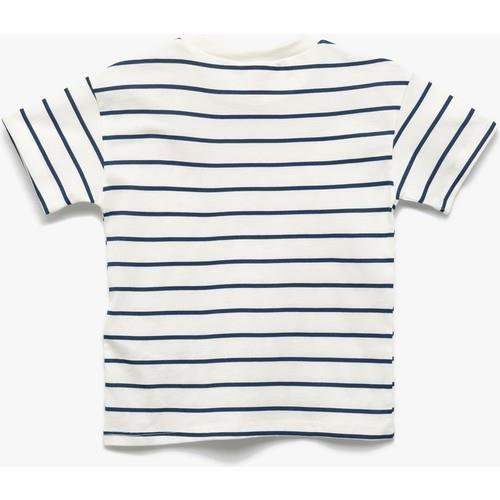 tshirt-ss-81805-.jpg