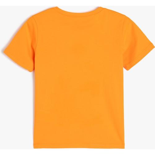 tshirt-ss-822f43.jpg