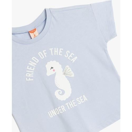 tshirt-ss-829599.jpg