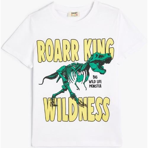 tshirt-ss-86df-6.jpg