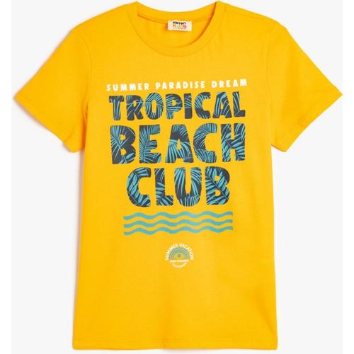 tshirt-ss-880d-9.jpg