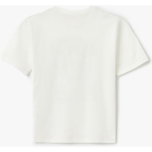 tshirt-ss-891760.jpg