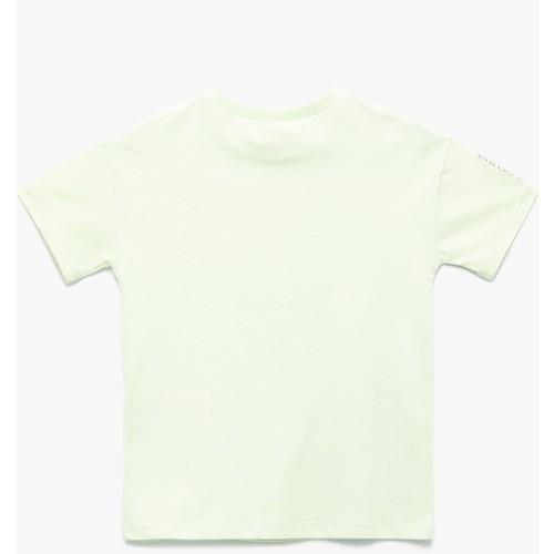 tshirt-ss-8a8a-4.jpg