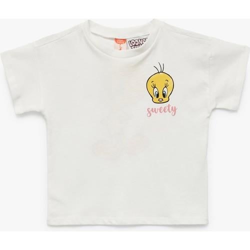 tshirt-ss-974c53.jpg