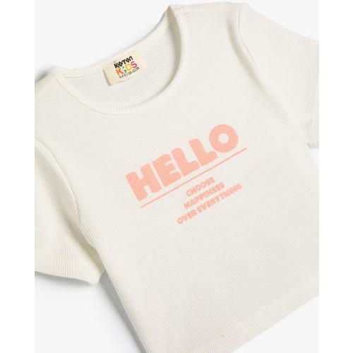 tshirt-ss-982e77.jpg