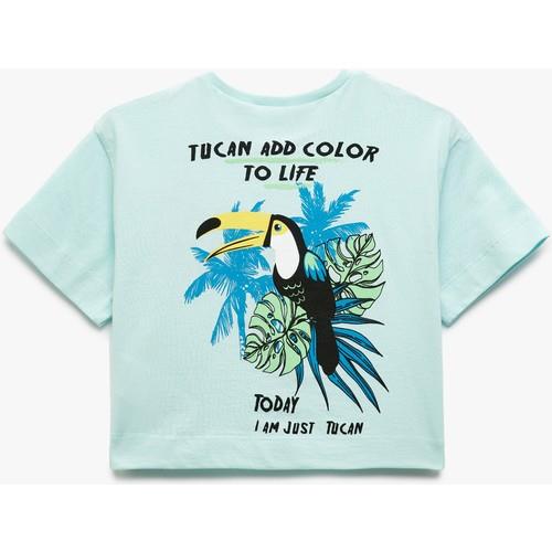 tshirt-ss-989-4f.jpg